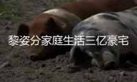 黎姿分家庭生活三亿豪宅内景曝光 与富豪老公很恩爱 